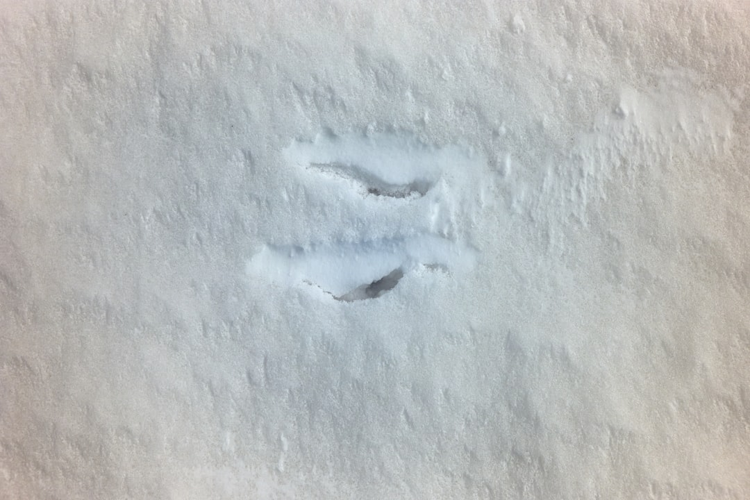 Photo Spilled salt