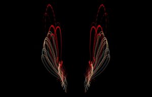 Photo Angel wings