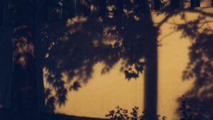 Photo Eerie shadow