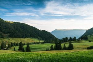 Photo dream interpretation