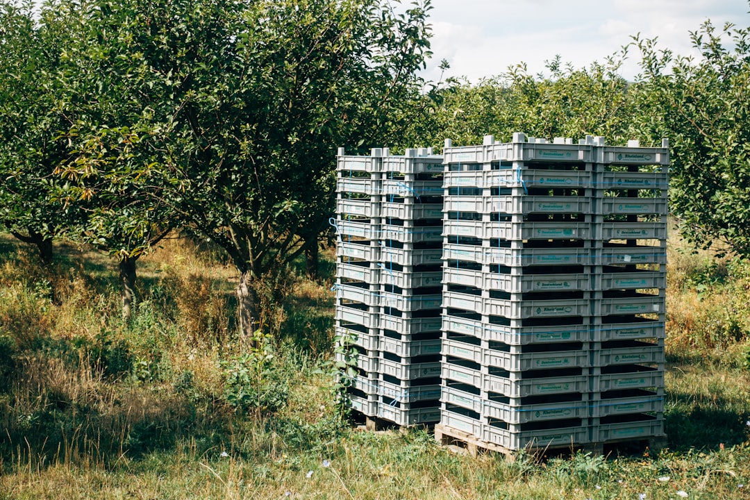 Photo compost production