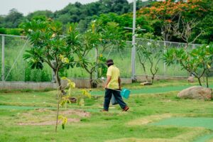 Photo planting fruit trees organically