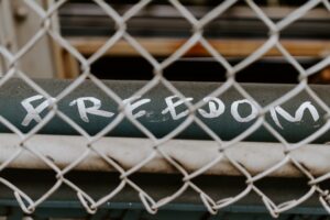 Photo freedom of expression online
