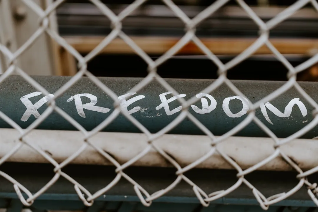 Photo freedom of expression online