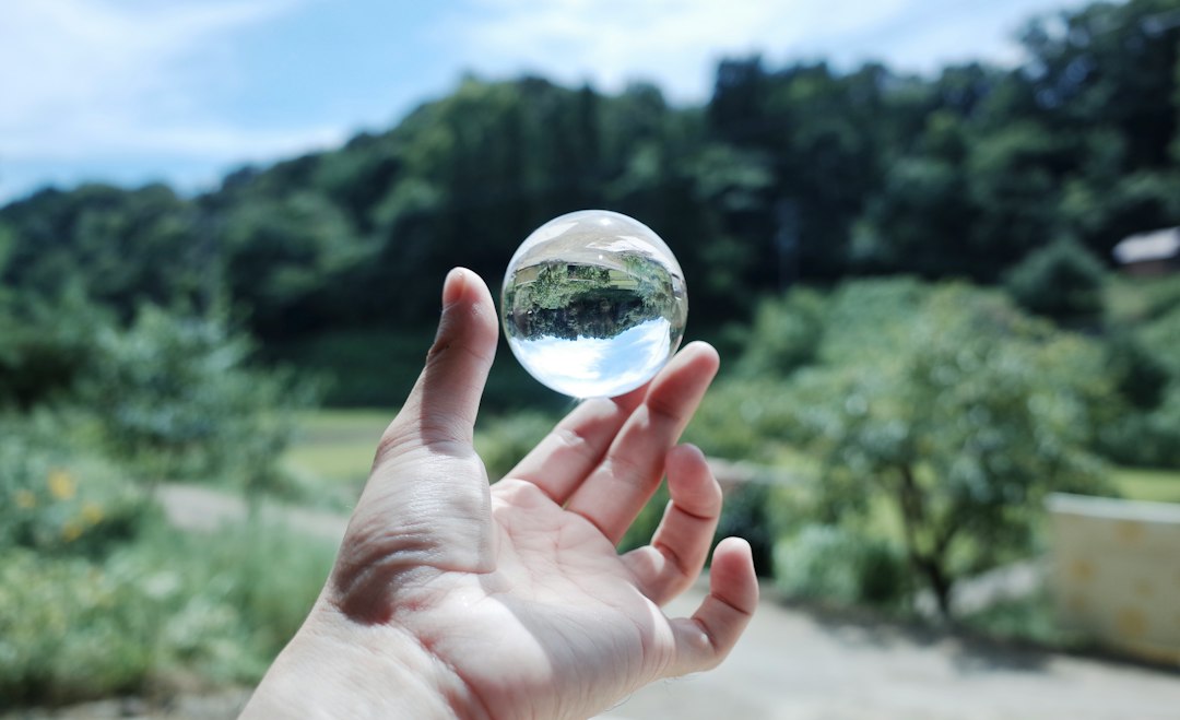 Photo transparency