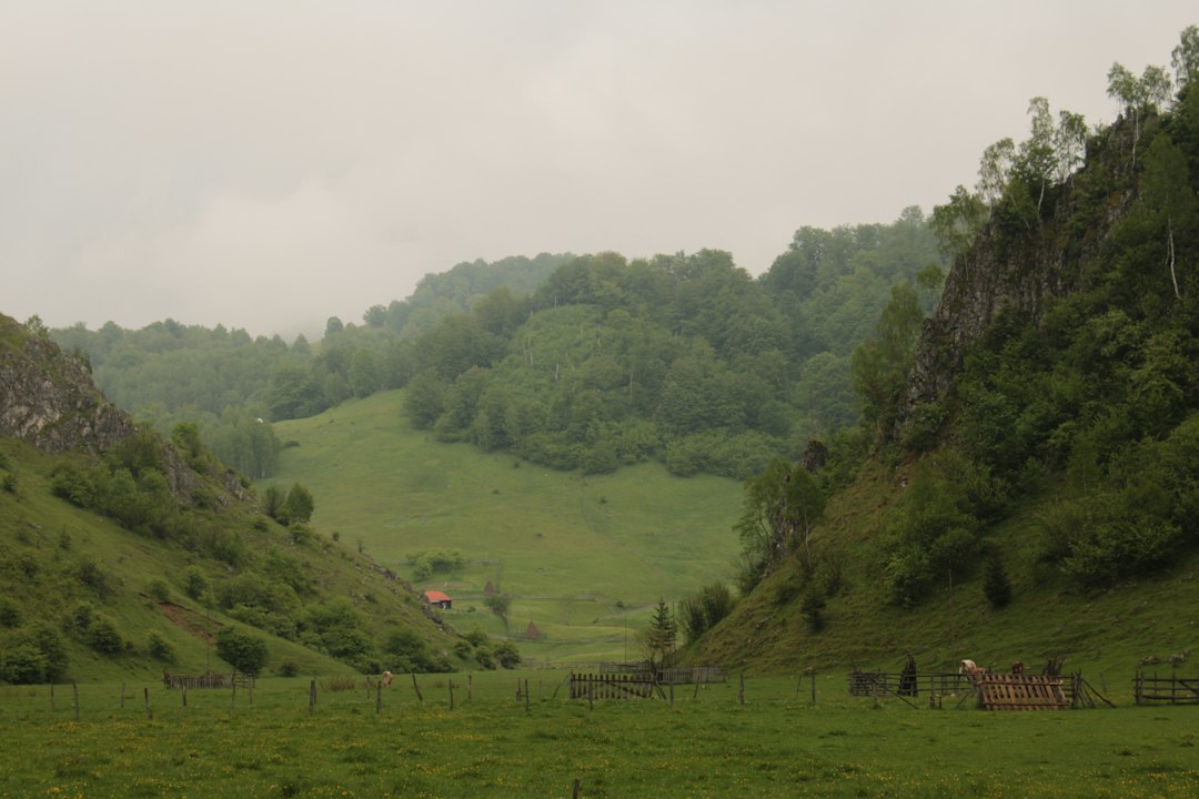 Photo rata șomajului