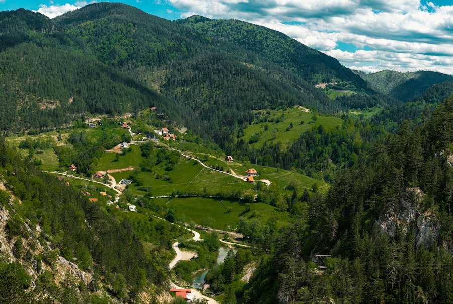 rata șomajului