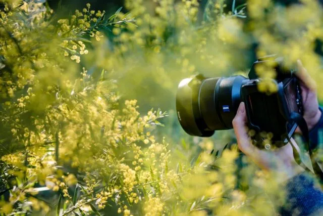Photo photography basics guide